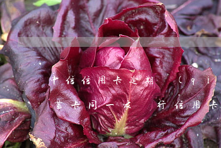 中信信用卡逾期強(qiáng)制劃扣儲蓄卡(同一家銀行信用卡逾期了會從儲蓄卡直接劃扣嗎)