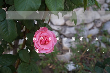 中信信用卡逾期律師上門(mén) 欠信用卡律師上門(mén)