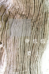 中信信用卡逾期律師上門(中信信用卡逾期說要上門取證怎么樣才能讓他們不要上門)