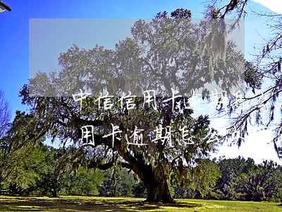 中信信用卡逾期怎么办理停息挂账-中信信用卡逾期怎么办理停息挂账业务