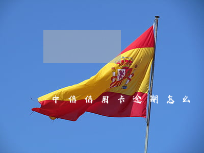 中信信用卡逾期怎么協(xié)商減免