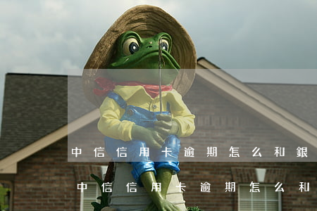 中信信用卡逾期怎么和銀行協(xié)商(中信信用卡逾期怎么和銀行協(xié)商還款)