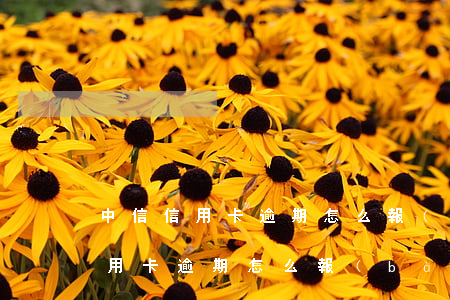 中信信用卡逾期怎么報(bào)案(中信信用卡逾期怎么報(bào)案)