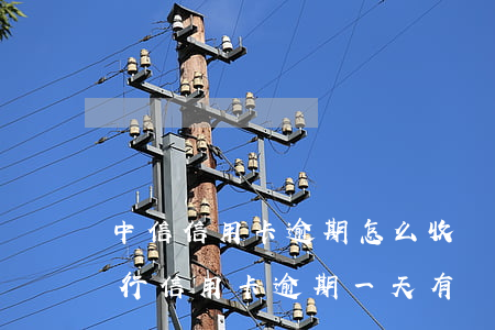 中信信用卡逾期怎么收費(fèi)(中信銀行信用卡逾期一天有沒有影響?)