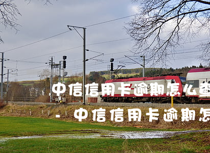 中信信用卡逾期怎么查詢詳細(xì)賬單-中信信用卡逾期怎么查詢詳細(xì)賬單明細(xì)