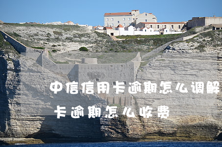 中信信用卡逾期怎么调解利息(中信银行信用卡逾期怎么收费)
