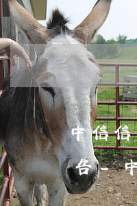 中信信用卡逾期怎樣消除征信報(bào)告-中信信用卡逾期怎樣消除征信報(bào)告記錄