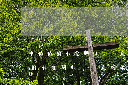 中信信用卡逾期打電話直接要家訪-中信信用卡逾期打電話直接要家訪是真的嗎