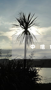 中信信用卡逾期收到律師函怎么辦6