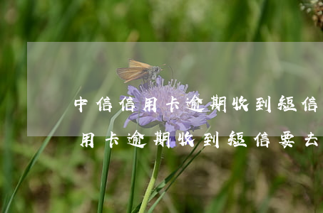中信信用卡逾期收到短信要去应诉-中信信用卡逾期收到短信要去应诉吗