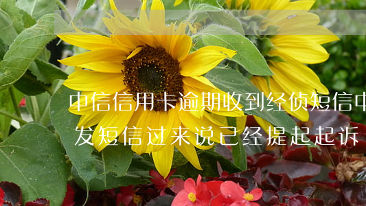 中信信用卡逾期收到经侦短信(中信银行催债发短信过来说已经提起起诉)