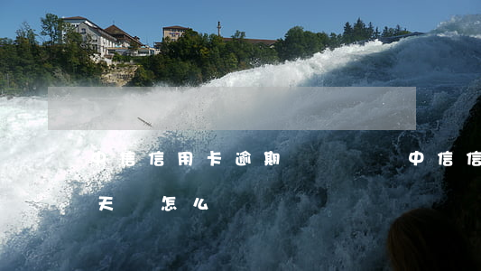 中信信用卡逾期時間過長(中信信用卡逾期兩天會怎么樣?)
