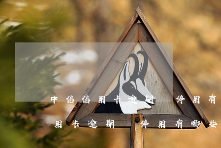 中信信用卡逾期暫停用有哪些后果-中信信用卡逾期暫停用有哪些后果呢