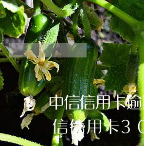 中信信用卡逾期最嚴(yán)重的后果(中信信用卡3000逾期五年了)