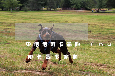 中信信用卡逾期會(huì)鎖卡嗎(中信信用卡最多逾期)