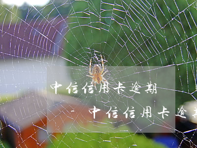 中信信用卡逾期會聯(lián)系派出所嗎-中信信用卡逾期會聯(lián)系派出所嗎知乎