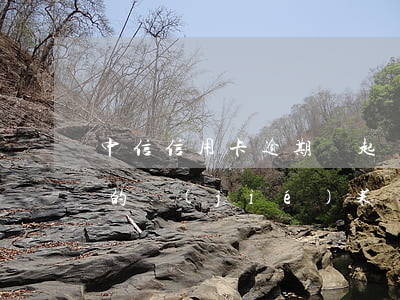 中信信用卡逾期會起訴嗎(有中信信用卡起訴的結(jié)果嗎)