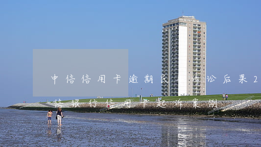 中信信用卡逾期民事诉讼后果(2020年中信银行信用卡起诉案例)