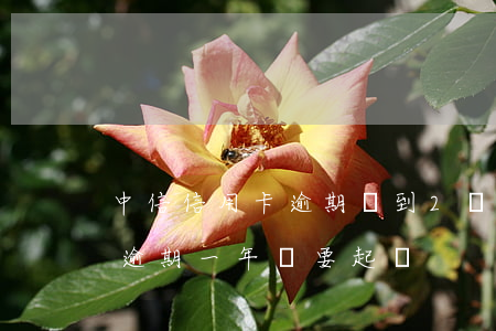 中信信用卡逾期沒到2個月(中信信用卡2萬逾期一年說要起訴)