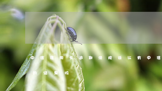 中信信用卡逾期法院诉讼(有中信信用卡起诉的结果吗)