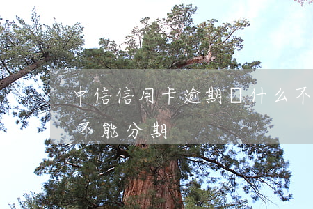 中信信用卡逾期為什么不能分期(中信信用卡 不能分期)