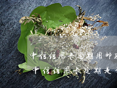 中信信用卡逾期用邮政快递寄的信函是的吗，中信信用卡逾期：是否真的使用邮政快递寄送催款信函？