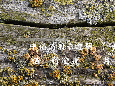 中信信用卡逾期發(fā)短信寄律師函(中信銀行逾期兩個月了,今天說收到了律師函)