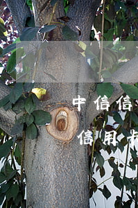 中信信用卡逾期發(fā)短信說上門（中信信用卡逾期發(fā)短信說上門）