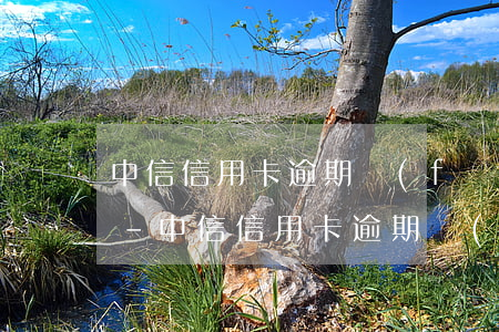 中信信用卡逾期發(fā)郵件該不該拒收-中信信用卡逾期發(fā)郵件該不該拒收呢