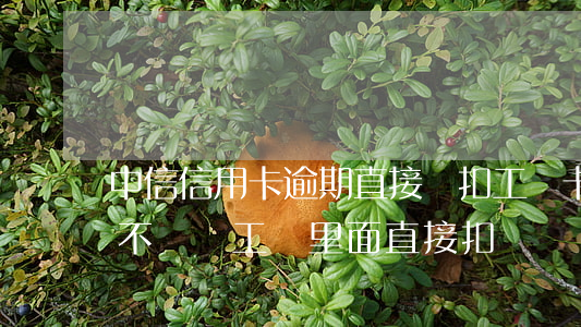 中信信用卡逾期直接劃扣工資卡(欠信用卡會不會從工資里面直接扣)