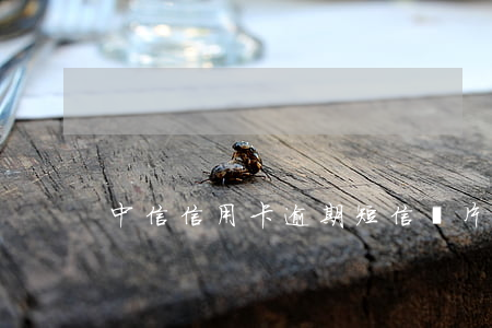 中信信用卡逾期短信圖片