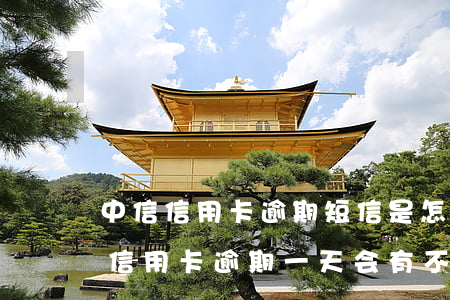 中信信用卡逾期短信是怎么样的(中信银行的信用卡逾期一天会有不良记录吗)