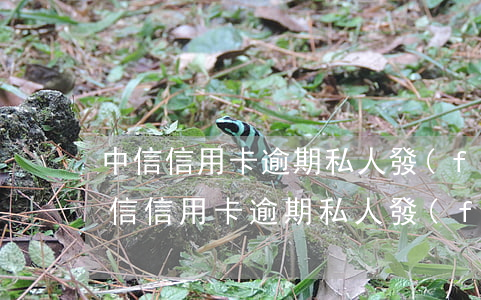中信信用卡逾期私人發(fā)來彩信-中信信用卡逾期私人發(fā)來彩信會(huì)怎么樣