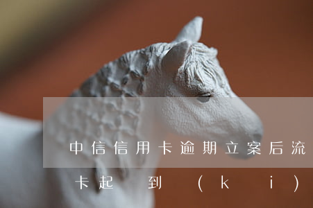 中信信用卡逾期立案后流程(被中信銀行信用卡起訴到開(kāi)庭一般得多久??)