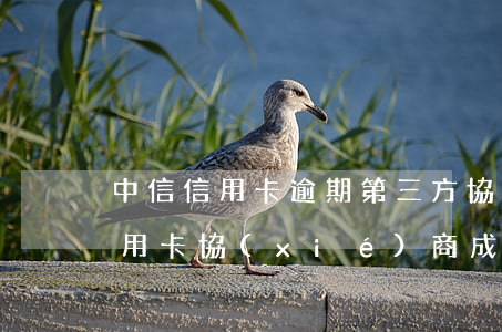 中信信用卡逾期第三方協(xié)商(跟信用卡協(xié)商成功后又逾期了)
