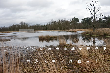 中信信用卡逾期结清还能用吗(严重逾期结清后多久可以办信用卡)