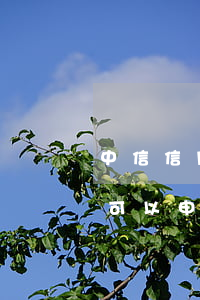 中信信用卡逾期能协商分期吗(中信银行逾期可以申请协商二次分期吗?)