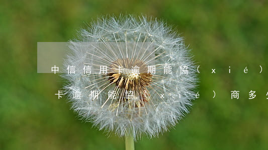 中信信用卡逾期能協(xié)商 中信信用卡逾期能協(xié)商多少期