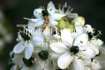 中信信用卡逾期能協(xié)商分期嗎(中信銀行逾期可以申請(qǐng)協(xié)商二次分期嗎?)