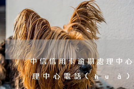 中信信用卡逾期處理中心 中信信用卡逾期處理中心電話(huà)
