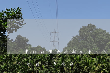 中信信用卡逾期被寄郵政快遞(收到短信說郵政信用卡逾期)
