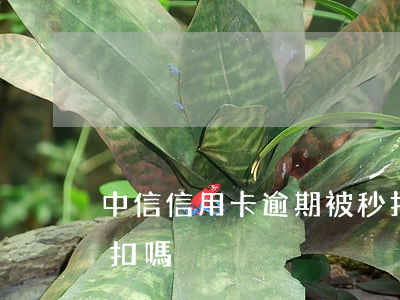 中信信用卡逾期被秒扣款(中信信用卡逾期秒扣嗎)