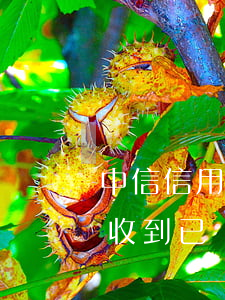 中信信用卡逾期被起訴出庭(中信行用卡逾期收到已經(jīng)進(jìn)入申請開庭審理階段)