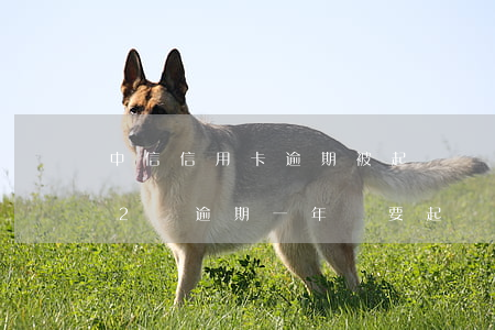 中信信用卡逾期被起訴會上征信(中信信用卡2萬逾期一年說要起訴)