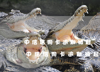 中信信用卡逾期被起訴立案后多久會判案-中信信用卡逾期被起訴立案后多久會判案呢