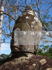 中信信用卡逾期被銷卡(中信信用卡 銷卡)