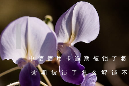 中信信用卡逾期被锁了怎么解锁(中信信用卡逾期被锁了怎么解锁不了)