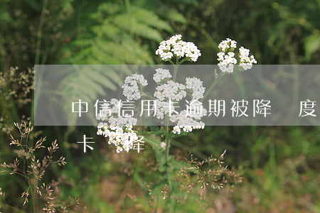 中信信用卡逾期被降額度怎么辦(逾期了信用卡會降額嗎)
