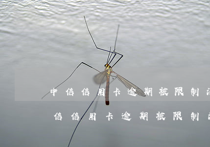 中信信用卡逾期被限制消費(fèi)了(中信信用卡逾期被限制消費(fèi)了怎么恢復(fù))