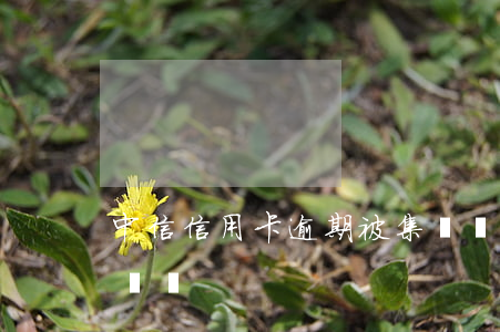 中信信用卡逾期被集體訴訟(欠信用卡被集體訴訟)